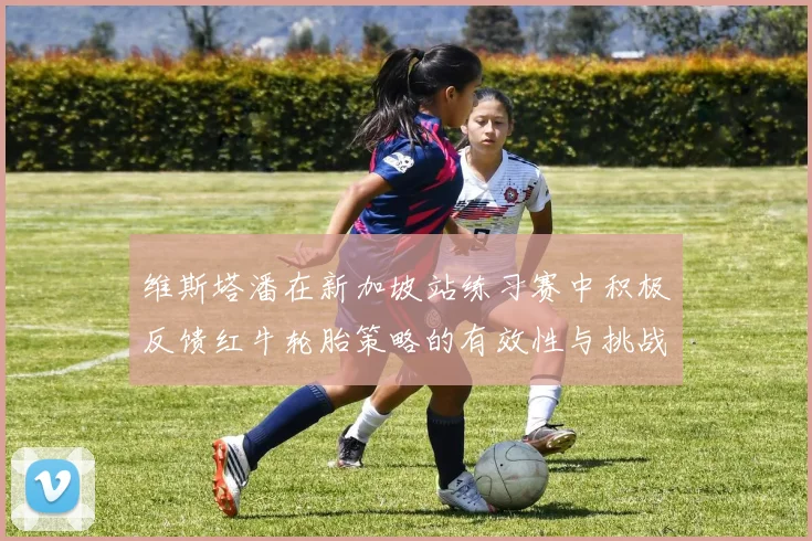 维斯塔潘在新加坡站练习赛中积极反馈红牛轮胎策略的有效性与挑战
